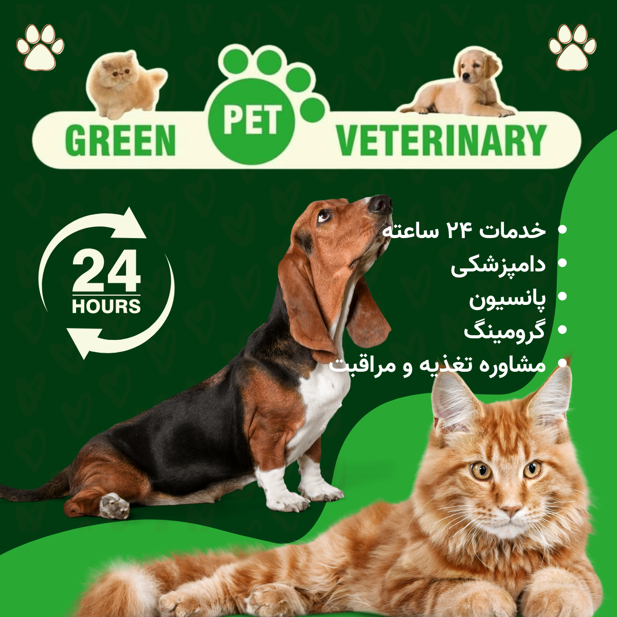 کلینیک دامپزشکی گرین پت یشیل کوی 24 ساعته