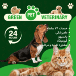 کلینیک دامپزشکی گرین پت یشیل کوی 24 ساعته
