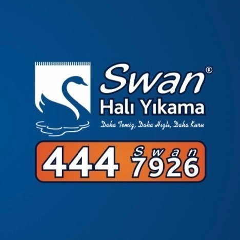 قالیشویی سوان لوگو