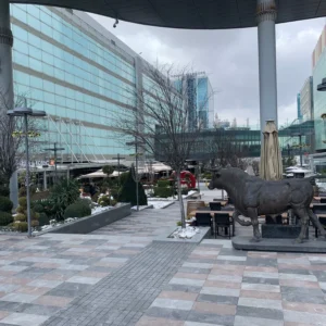 Pizza Il Forno 720 Sokak