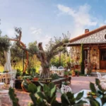 Vino Locale