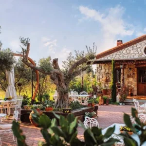 Vino Locale