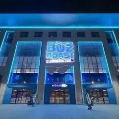 کاور پاتیناژ زیتین بورنو