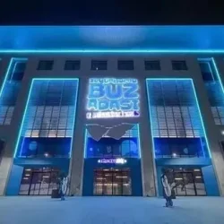 کاور پاتیناژ زیتین بورنو