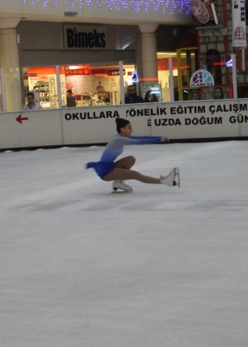 اسلایدهای پاتیناژ فلش آیس