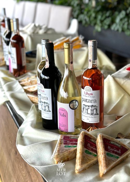 348466343_228423026584098_4202851551174124597_n