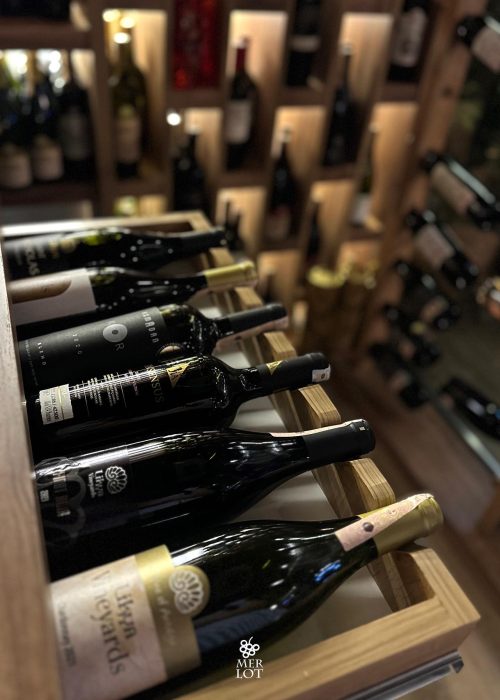 356894507_18282843751192024_7800895320942605694_n