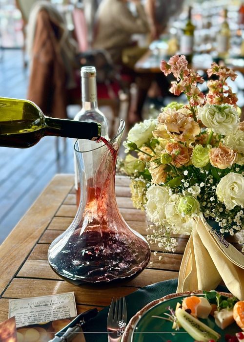 483299852_18365887132192024_3368010768266703409_n (1)