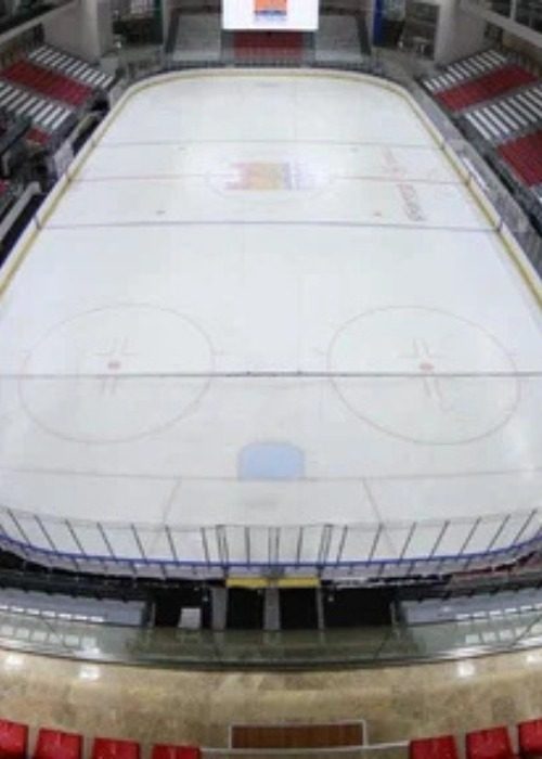 اسلایدهای پاتیناژ زیتین بورنو