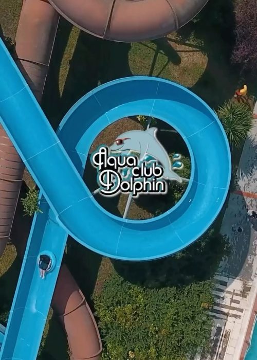 Aqua Club Dolphin