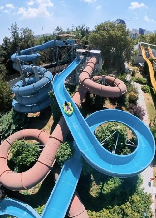 Aqua Club Dolphin (10)