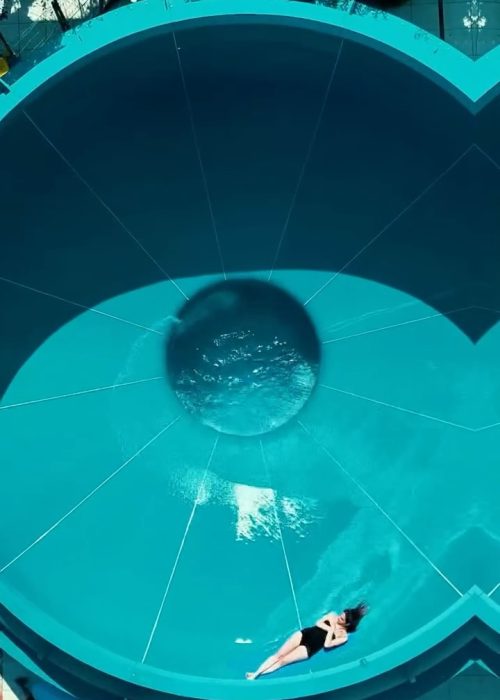 Aqua Club Dolphin (2)