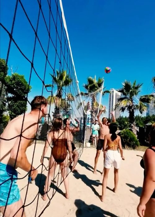 Aqua Club Dolphin (4)
