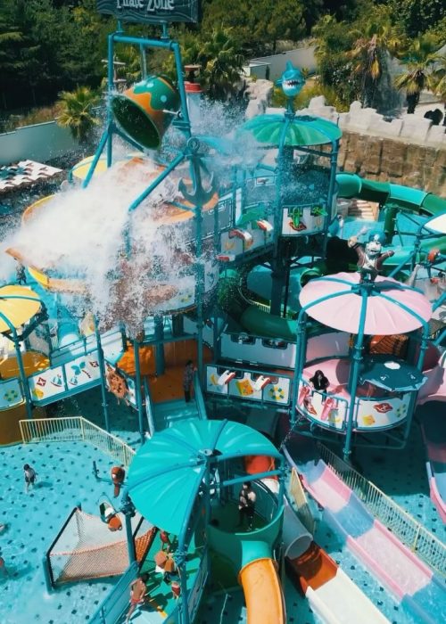 Aqua Club Dolphin (5)