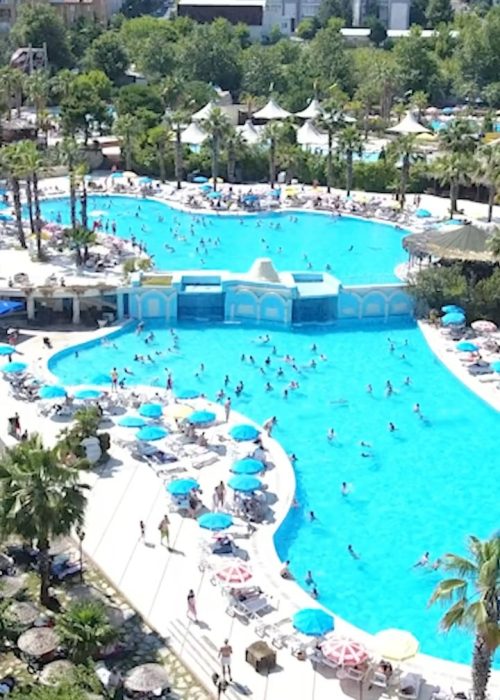 Aqua Club Dolphin (9)
