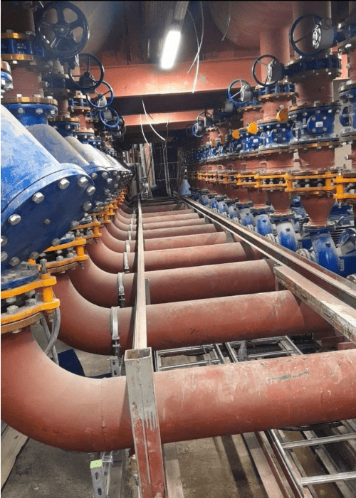 Untitled (500 x 700 px) (3)