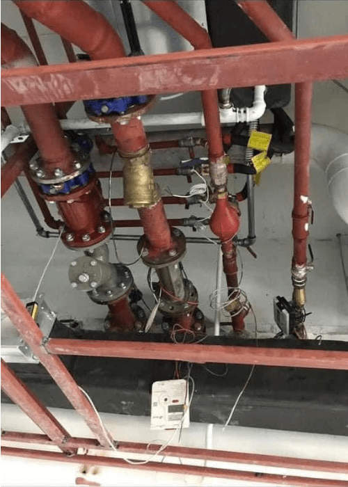 Untitled (500 x 700 px) (4)