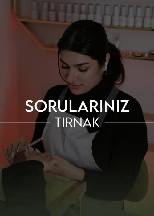 Untitled (500 x 700 px) (74)