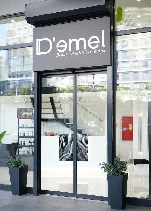 demel3-1