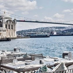 کاور رستوران فریه