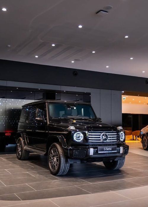 imgi_10_597935209_1288355493325003_2154319902908720520_n