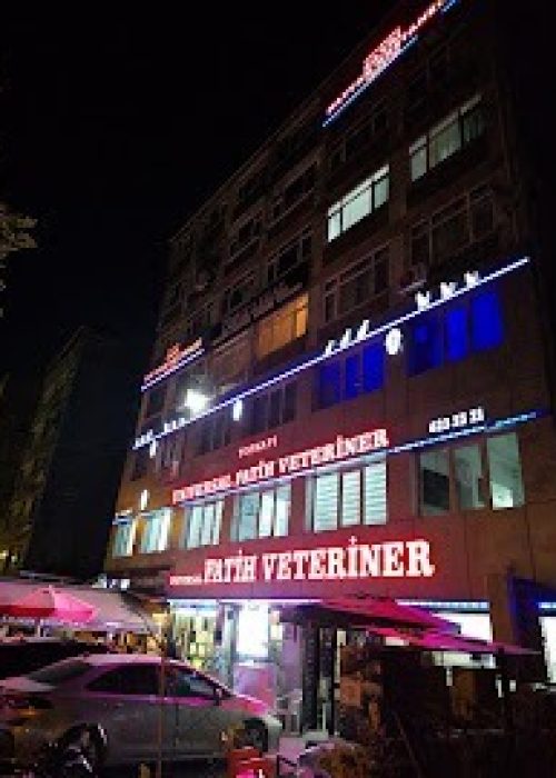 imgi_11_AF1QipOh9XcQ456UXrHoixBykqkaPb7MBXJSnF-UZHQE=w203-h270-k-no