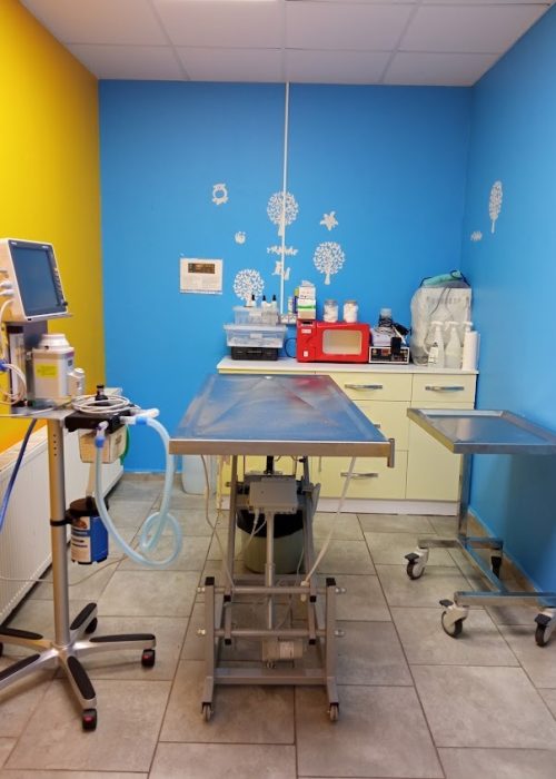 کلینیک دامپزشکی پتوپیا عمرانیه (حیوانات خانگی، پرندگان و حیوانات عجیب و غریب)