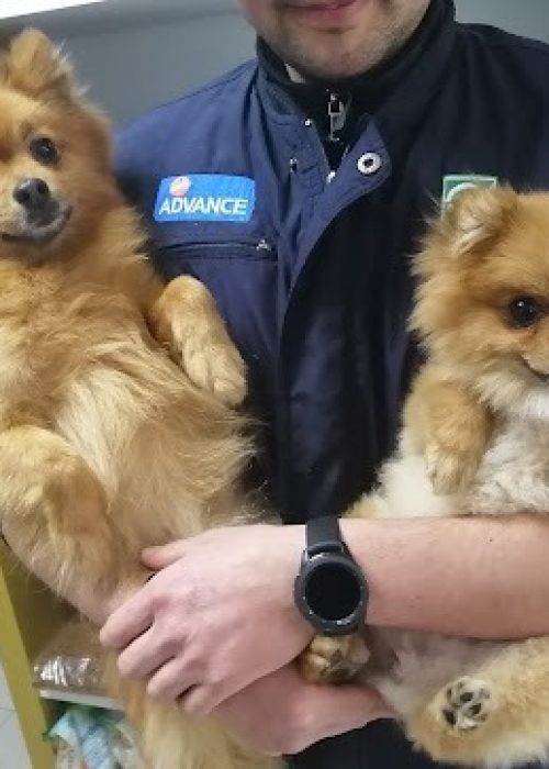 imgi_14_AG0ilSx3JHrodyyVSjrP3ZUi7njux0zPeGiQouyA0hA5GEWV9Ytp9BQtwwtvmJ1AUD5MfpfUQExZlkebUHLzoxrhu8XIks9DLBQGmOCxZ-xosZoZDwkKoKjd1cbdWaoXygP27OSePr_wmw=s483-k-no