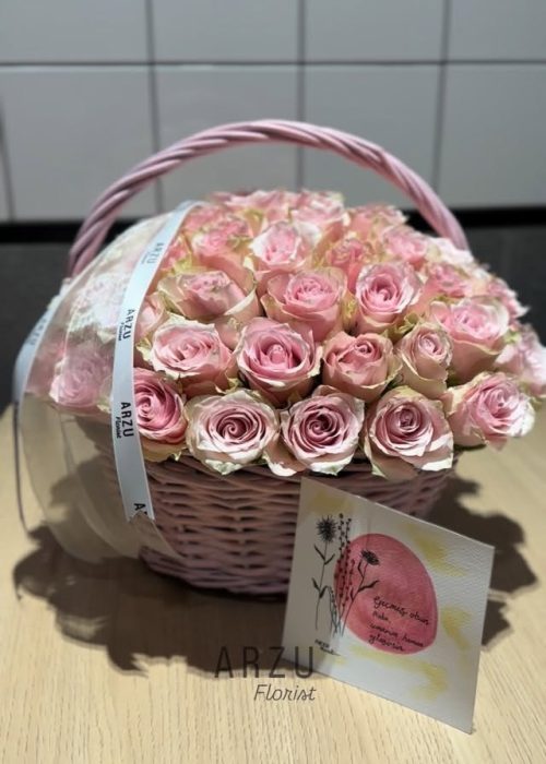 imgi_16_586858243_1223569493003054_8076530440992509545_n