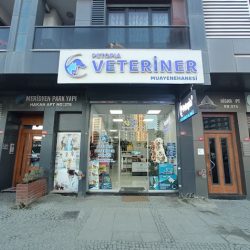 کلینیک دامپزشکی پتوپیا عمرانیه (حیوانات خانگی، پرندگان و حیوانات عجیب و غریب)