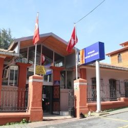 واحد واکسیناسیون و درمان حیوانات شهرداری کلانشهر استانبول