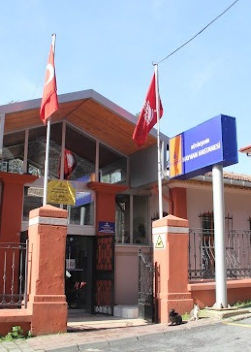 imgi_18_AG0ilSzICnnBZ7DK84URWoObvqElFY23tjB5lKiJtKGxjIXFSe0l1NuiDmx5yLweJhRNVCu6MhQ-MARNoryXY0CynE6GLzzo7iouLL1jidXFL7xMasn2GlQBCzgxl-z9VDT8xbkpLJRy0g=s544-k-