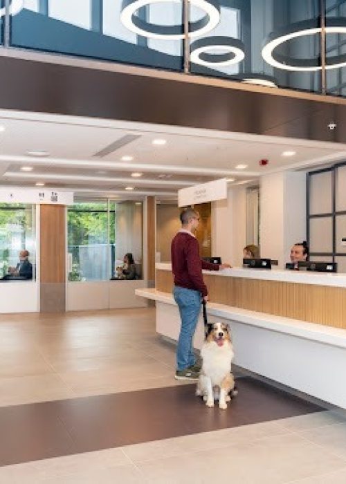 imgi_19_AF1QipMCSGJbwJJr7QrEW6KtFZYRvcx7U31mFLQmNR1H=s544-k-no