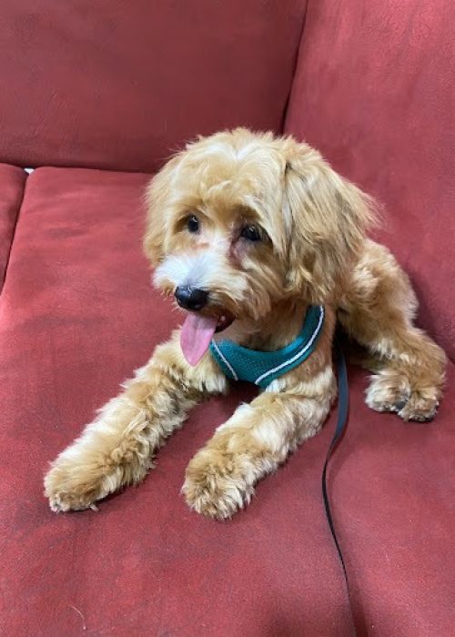 imgi_20_AG0ilSxK4MT7mKuds0DMuj58qeQu9C3SGcmd2jcb5AaLFSc5JbtPSzyvA3En0PLnrCj-tUZS6fKY498FluhJo96sTlGwCuTCeLRULt439vGDs0sWCJ2eyts2