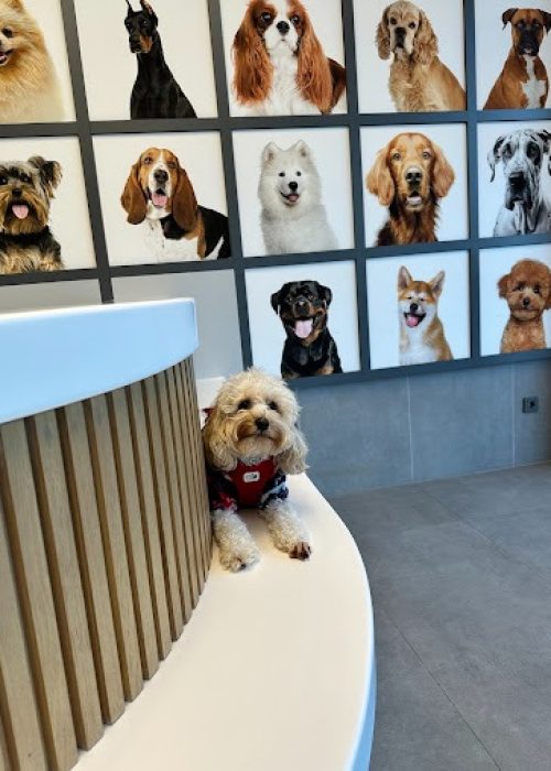 imgi_21_AG0ilSwt5G1N45Vk8PgWDQ2fpfzsW0DNpckq1cpCQs6EwU3xXXwa7D1_wqpPAr71JmCZmPfWVhffW3HQwqfxcmpRVibUadRZmSVQptN6mL-21AsIDeRMH9LNu1EPSWs0uNvIWR-UD0v1=s508-k-no