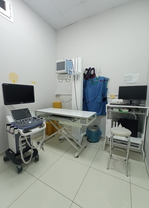 imgi_22_AF1QipPfPsEiqd-7sTfrknaFd40TNiKjbKgPex830fMh=s846-k-no