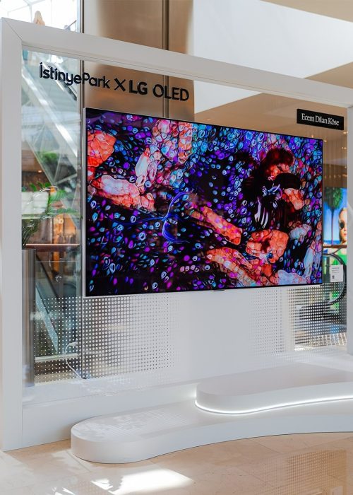 imgi_26_500890924_18515862502044804_2374550891791617158_n