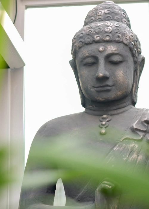 imgi_27_532356821_2210827902762771_2841157659923103308_n