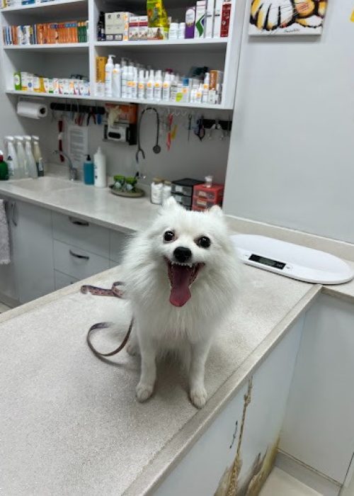 imgi_32_AG0ilSwEn33Psu1ibQCofDA1q_JbKepdE6UDwGsHPZ605cDP15zLIxK2ieXIse8vjEXLgGYw2pMdaApPloT6fBB6DiSh6gyexPoVqNAIuw8fGmNpJ3HaEfis