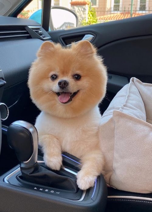 imgi_32_AG0ilSxbzllA9otQPDidPv6vspKLF2KLeeB4chWYHC0BipRM-FbhAQEeGkvTIV_iwHWw-H4qstFnxeFgDQa2u02GG83Zy7Z7RGqbmdF_n3gHkLLjlHAxtHxAlQ5rtg90IWrnb0IaQzbf=s635-k-no