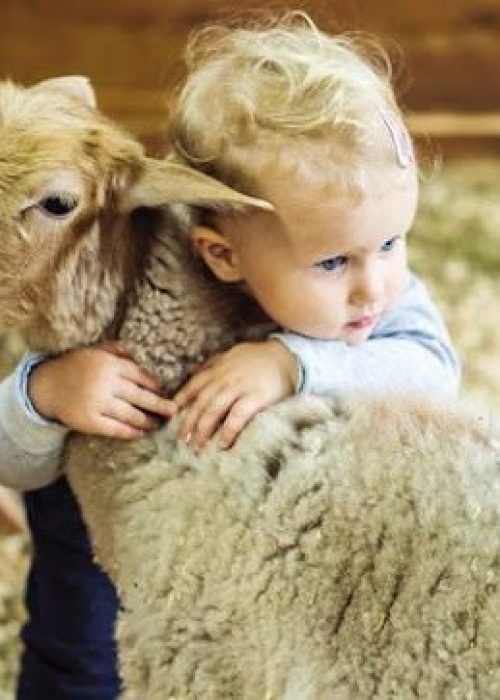 imgi_33_AG0ilSxHJcDjTXMuXbVPm0XztPHu77e_FcwCFY0H60bmkab-3SwnloqLQF1ymsFIknMomb5FXR6TXXPB7Ixz5Zp-r2CIFTfOOkdLFQiYmzvewEfKddNB1l-d9R0uN27ylL-sRscPG-jjNQ=s645-k-