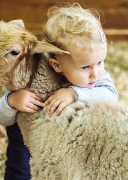 imgi_34_AG0ilSxHJcDjTXMuXbVPm0XztPHu77e_FcwCFY0H60bmkab-3SwnloqLQF1ymsFIknMomb5FXR6TXXPB7Ixz5Zp-r2CIFTfOOkdLFQiYmzvewEfKddNB1l-d9R0uN27ylL-sRscPG-jjNQ=s645-k-