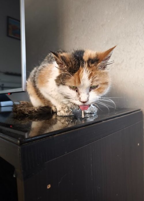 imgi_35_AG0ilSxmdCUtn3lUQ8IlQ6IgykSKvGxBK-4FBoLgFgYP4nYwp16uBwPSPSNdo9jpAqubV9bGG1N9MSaTvnV6e5oJzsBuqzjJO733xeJolIVS-EA6aUeAxjafCAjBwViPmOZgXhQP