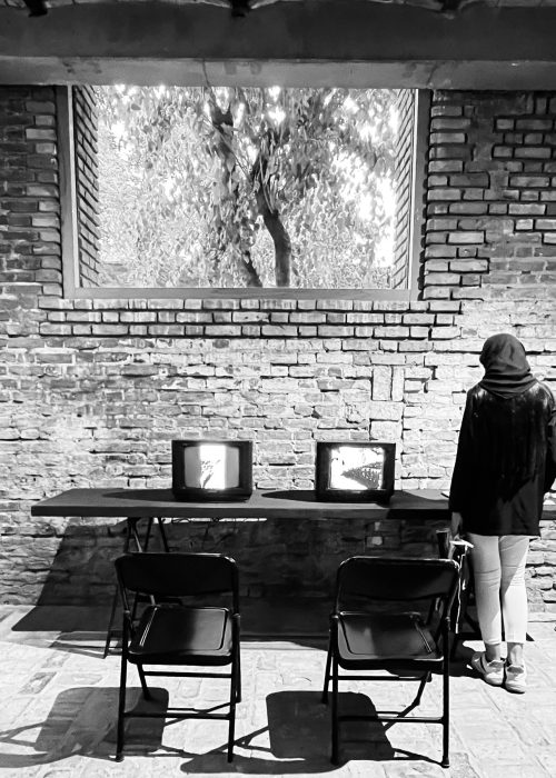 imgi_36_474459908_18457732381069759_6326100645508245042_n