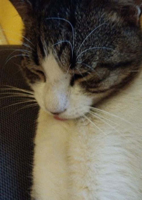 imgi_37_AG0ilSx9ULcTMeNI5TNHCEKufz1H65hvaria6Gi1gkXr99N1IiBC7ukBo9Y4qQpQyct6kOmEnczXZLSqbjtOr_CRgpYwH77AZ34FdUMlpf5_O2IKv1HkLmsIyx-eC3vNDUkZGo1AHAYWmA=s846-k-