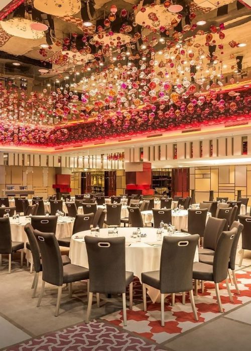 imgi_40_313485867_447330704180983_483583962692393512_n