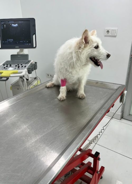 imgi_42_AG0ilSzwlVvqakC2C2LKbC2U5s6xIMYoOIJP5XEq1hU8fYVHv-3w5yoRZMjVwQNi8omxsaVoOVdbNXFcrYwWqAFxEeR5910OiGRTld8wzD8kMAUfzOH1elHc1hPIm8TyyqQwOkK-