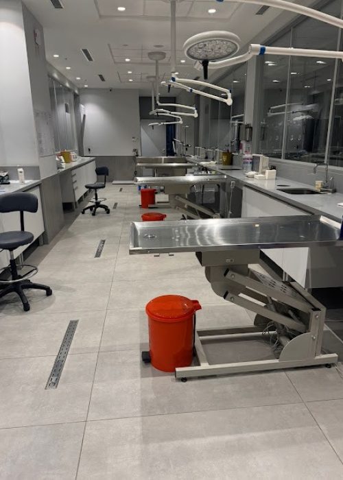 imgi_51_AG0ilSxDwCaysvjtm_JpVPZ-QzJMEOBbaNZH2zuhrJDvRZ0m3w7cKEfQUO-wM7fAFBfG6qW_K_aL6DQXDEnMsMAEq2b_v3MhZl2SLkKOY_FjHEHYbKwRMH-iHf9ZhSoCdXjq59t49t0=s635-k-no