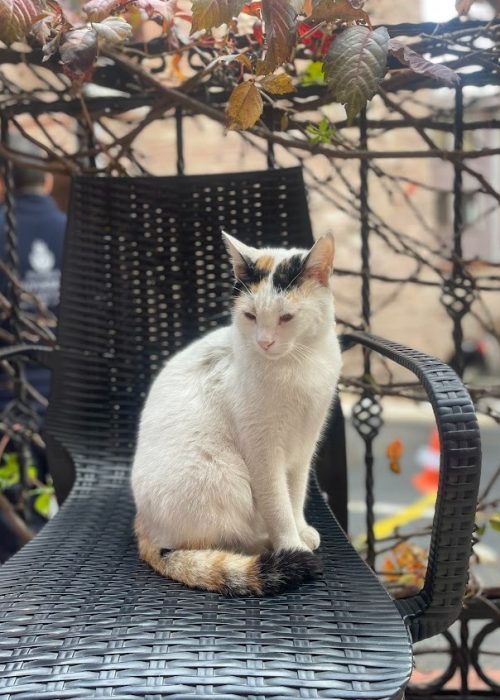 imgi_55_AG0ilSzFlkVbREzuhTCsD8Rz6VSHjraS615GHyje6fO_qTsrPAFyYJDeitR8LwzUuJ8Wzlnr16YE2wbJ6Iv8jg0xxEFgtk6_wuDlNqOnoYSugzUUnnb-UXHxgC80RBjbwzoGafU6uT8=s846-k-no