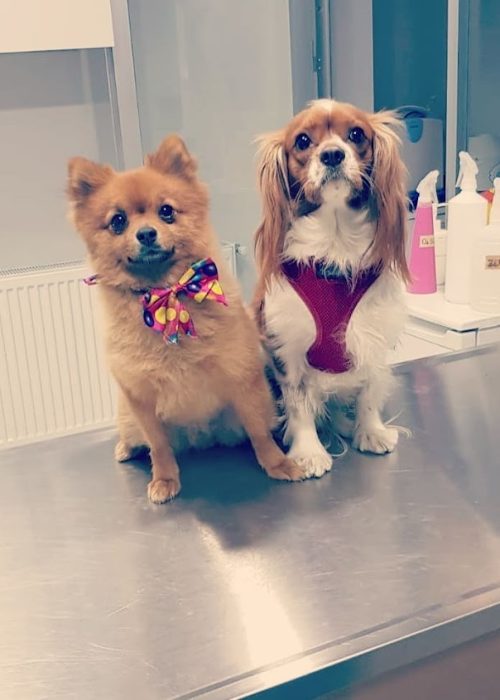 imgi_58_AF1QipMWBTDWl8QFdXrVn7wVWvNxb2NTptM9_xPJwLEu=s846-k-no